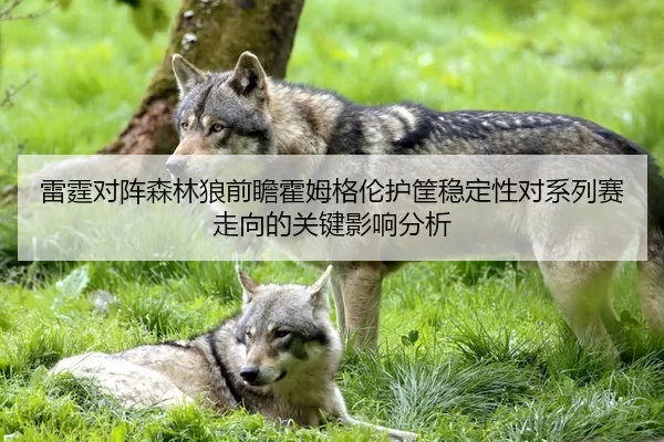 lei-ting-dui-zhen-sen-lin-lang-qian-zhan-huo-mu-ge-lun-hu-kuang-wen-ding-xing-dui-xi-lie-sai-zou-xiang-de-guan-jian-2-208.jpg