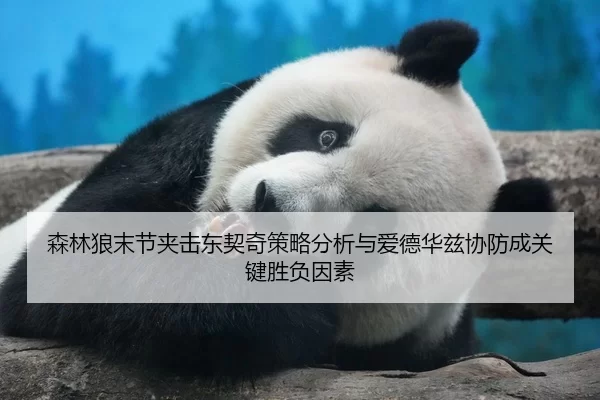 森林狼末节夹击东契奇策略分析与爱德华兹协防成关键胜负因素