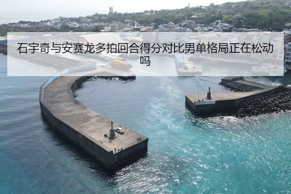 石宇奇与安赛龙多拍回合得分对比男单格局正在松动吗