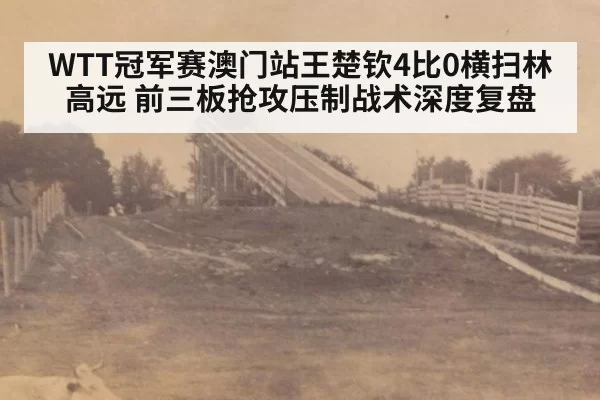 WTT冠军赛澳门站王楚钦4比0横扫林高远 前三板抢攻压制战术深度复盘