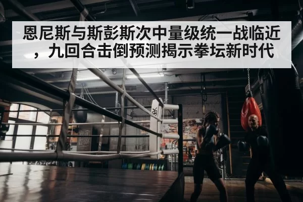 boxer training